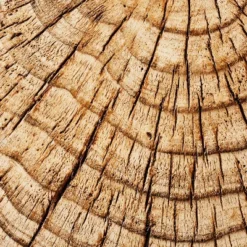 Indoor/Outdoor Faux Concrete Stump Accent Table Brown - Threshold™ Designed With Studio McGee -Dream Home Shop GUEST 03deabfd 2b62 4725 94b4 09a321ea8678