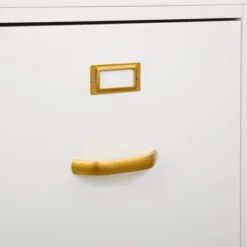 Dixie 2 Drawer Cabinet Green - Buylateral -Dream Home Shop GUEST 9e9469de 446f 4532 8c80 36462f11c814