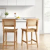 Tormod Backed Cane Counter Height Barstool - Threshold™ -Dream Home Shop GUEST a108e5cf 220e 4ac8 b423 9f4e8500185a